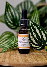 Load image into Gallery viewer, Organic Daily Face Serum arranged with natural elements for skincare