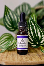 Load image into Gallery viewer, Organic Night Face Serum displayed among natural skincare elements
