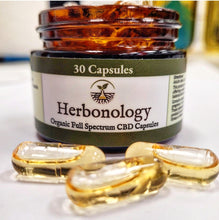 Load image into Gallery viewer, CBD Capsules close-up showcasing vegetarian softgel design