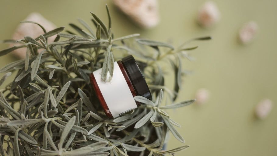 How to Integrate CBD into Your Daily Wellness Routine