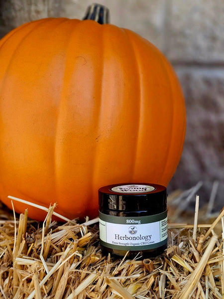 How can CBD Be Used: 5 Common Uses Backed by Wellness